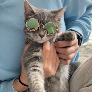 Meet your Posher, Kate